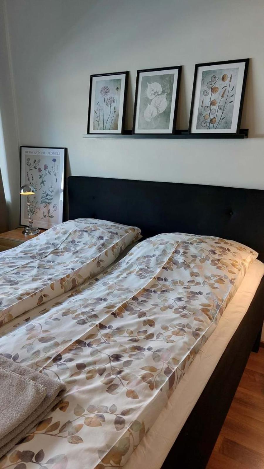 Scandinavian Home Ροβανιέμι Εξωτερικό φωτογραφία